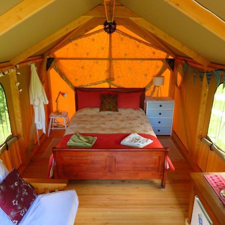 Отель Omarama Oasis - Permaculture Glamping Pohara Экстерьер фото