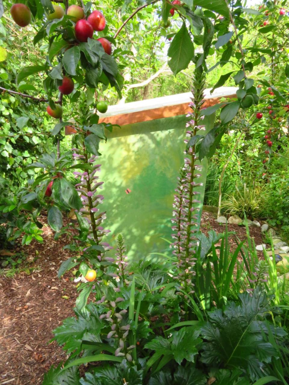 Отель Omarama Oasis - Permaculture Glamping Pohara Экстерьер фото